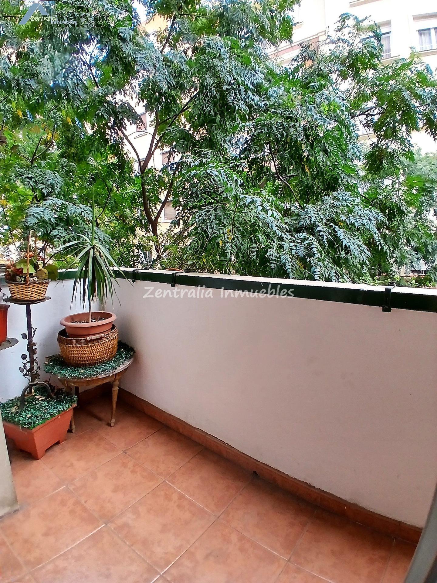 CENTRICA VIVIENDA DE 3 DORM + 2 BAÑOS con TERRAZA